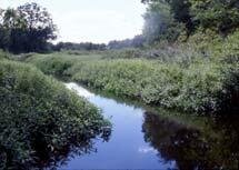 WetLands