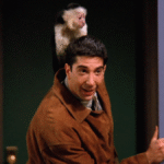 Someone Binged Friends Without Any Preconceived Notions, And Her Take On Ross Is Going Viral