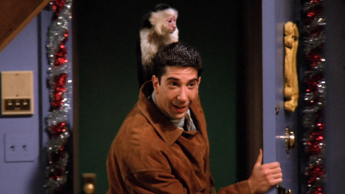 Someone Binged Friends Without Any Preconceived Notions, And Her Take On Ross Is Going Viral