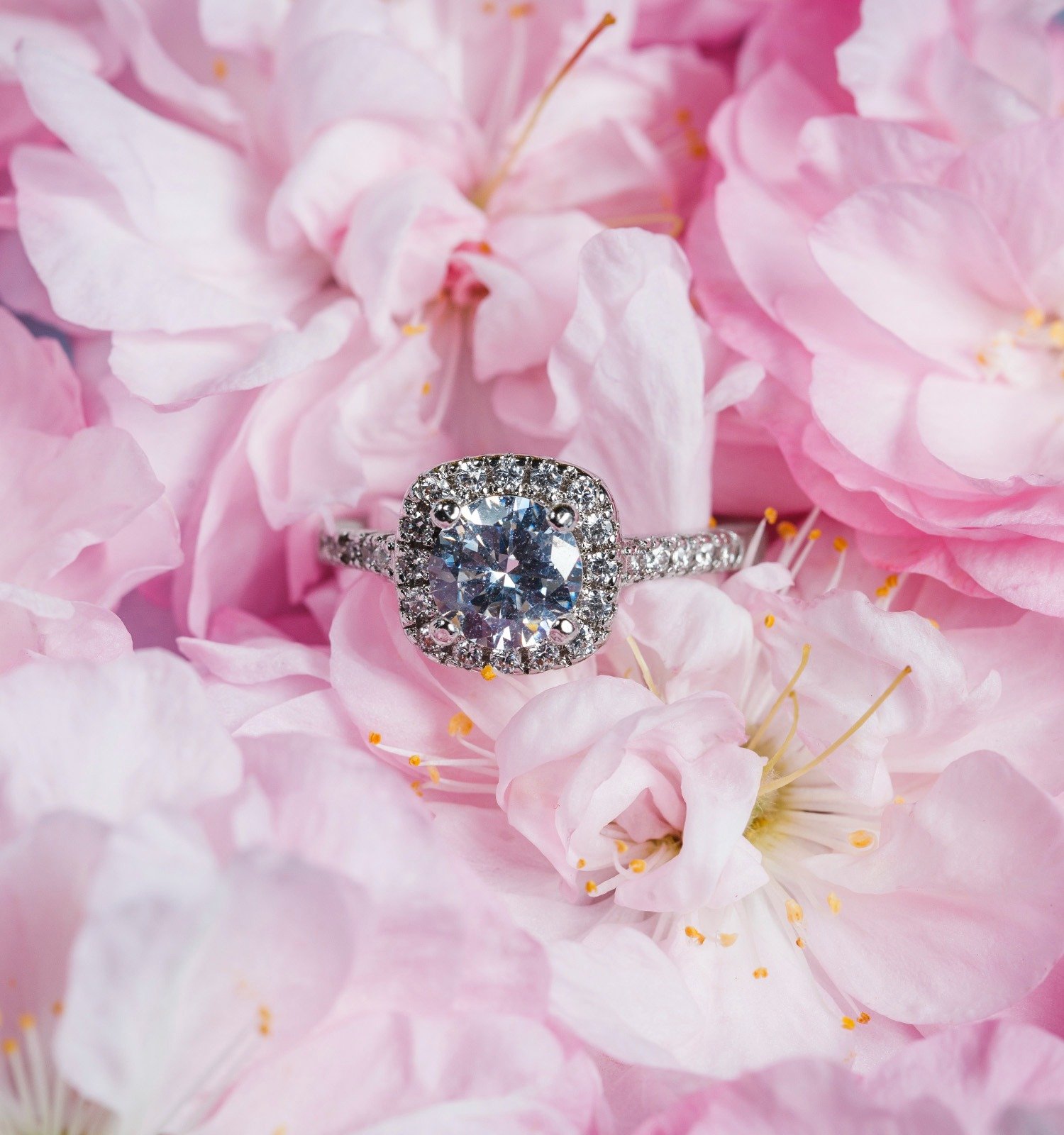 The Platinum Shift in Fine Jewelry: What Olertis Is Seeing for 2026 and Beyond – Fashion Bomb Daily The Platinum Shift in Fine Jewelry: What Olertis Is Seeing for 2026 and Beyond – Fashion Bomb Daily