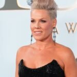 Pink Responds to Fallout After Sharing Post Criticizing Macklemores Speech on Palestine