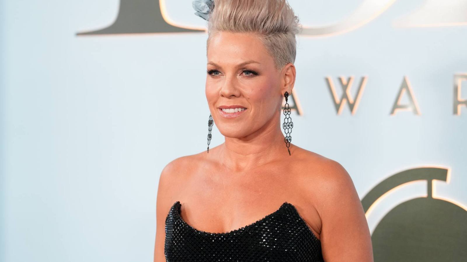 Pink Responds to Fallout After Sharing Post Criticizing Macklemores Speech on Palestine Pink Responds to Fallout After Sharing Post Criticizing Macklemores Speech on Palestine