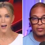 Megyn Kelly Makes Bold Statement About Don Lemon Running for President